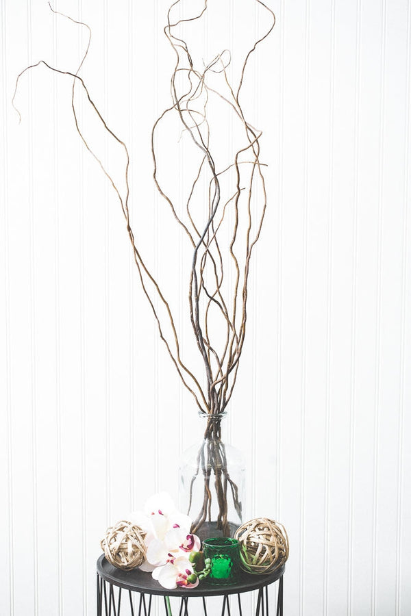Beautiful Ways To Use Curly Willow Branches Throughout Your
