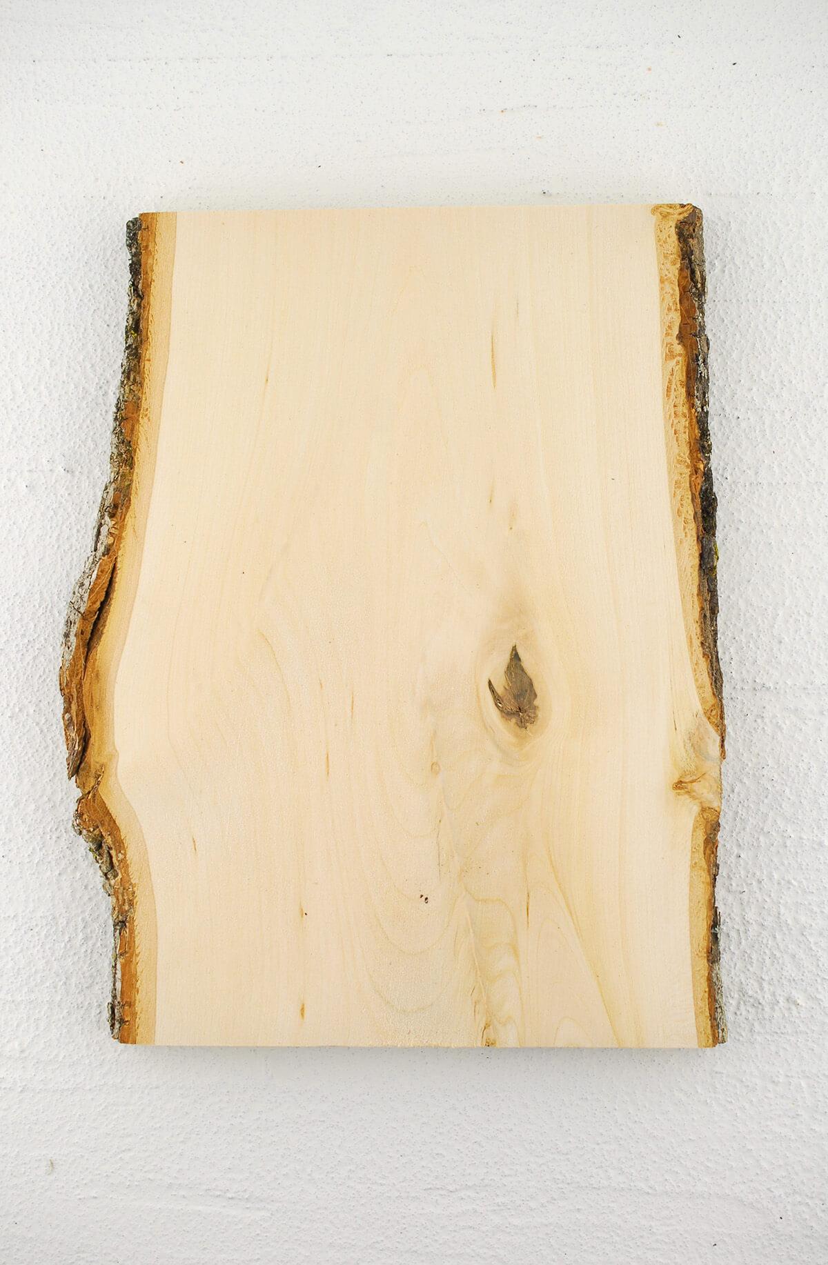 Large Log Slice/ Wood Slab With Bark 19 to 20 plus x 2 Inch