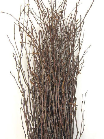 DriedDecor.com Decorative Birch Branches for Sale