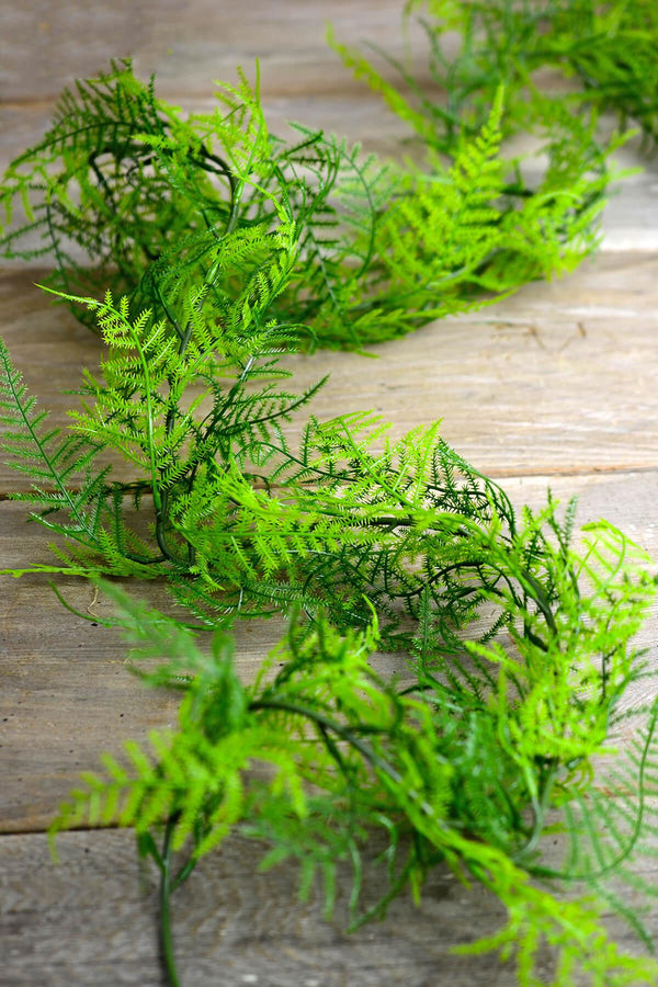  ALLSTATE FLORAL AND CRAFT, INC. Asparagus Fern Garland Green  Plastic - 6'L : Toys & Games
