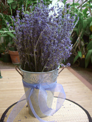 Natural Dried Lavender 20 inch, 120 Stems by Quick Candles