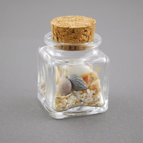 12 Pack 50ml Small Glass Bottles with Cork Stopper, Mini Jars With