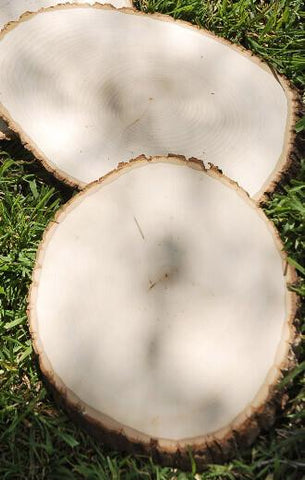 Large Wood Slices for Centerpieces - 5 Pack